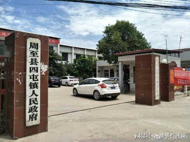 梧桐树村委会新项目启动，乡村振兴新篇章开启