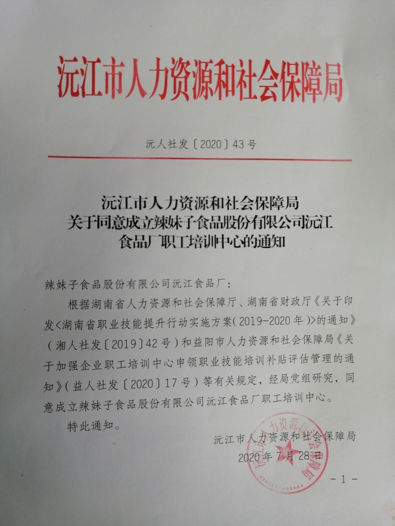 沅江市人力资源和社会保障局发展规划，构建公正、高效、可持续的人力资源社会保障体系