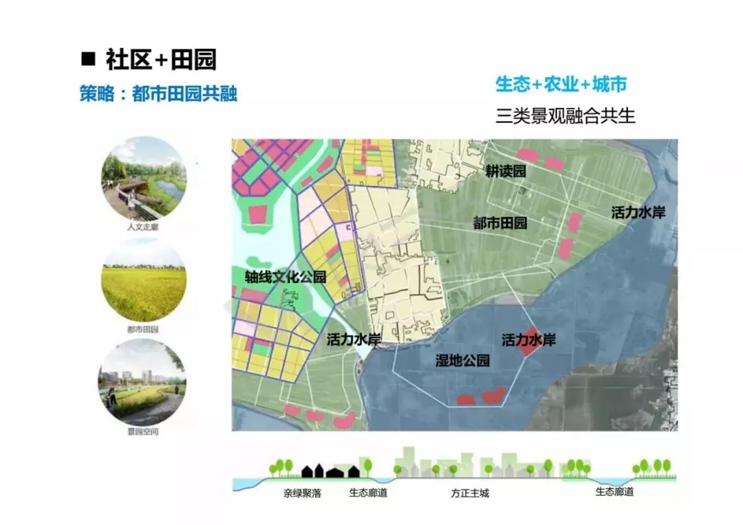 新胜乡未来蓝图，最新发展规划塑造未来乡村新面貌