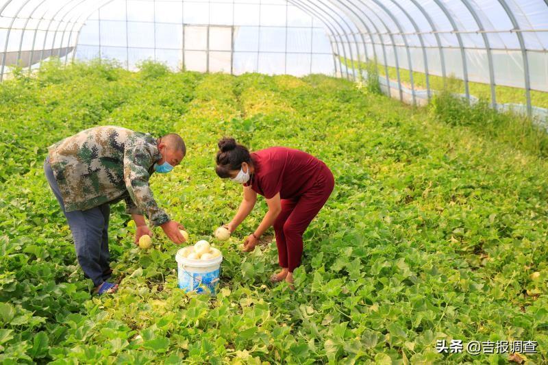 呼和车力蒙古族乡最新新闻动态报道速递