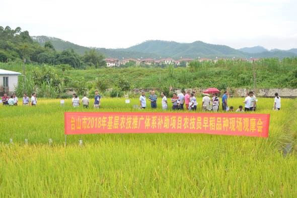 天长市农业农村局新项目推动农业现代化助力乡村振兴