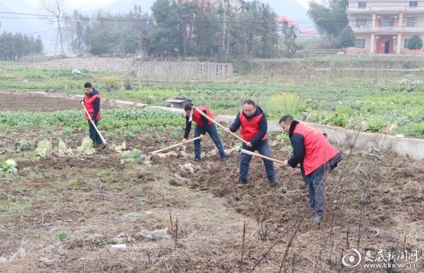 水洞底镇新闻快报，最新动态与报道汇总