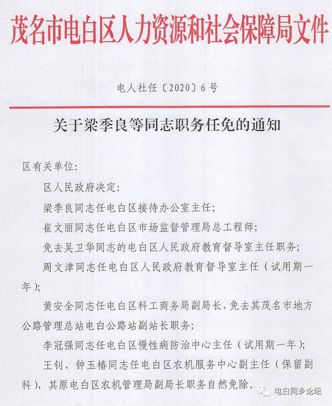 纳金乡最新人事任命，引领未来发展的新篇章