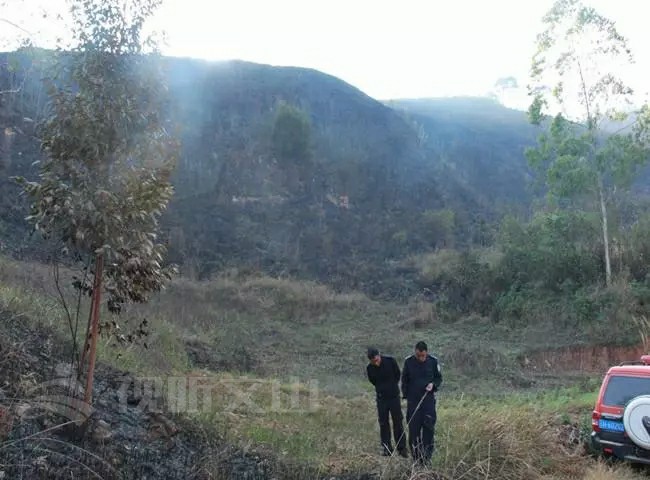 托桑木林村今日天气预报