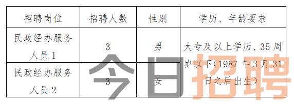 沛县民政局最新招聘信息详解