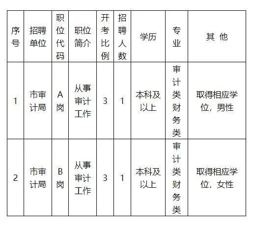 奇台县审计局最新招聘信息详解