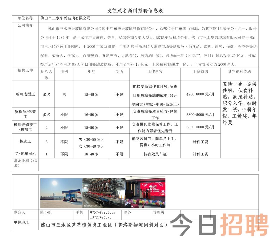 园洲镇最新招聘信息全面解析