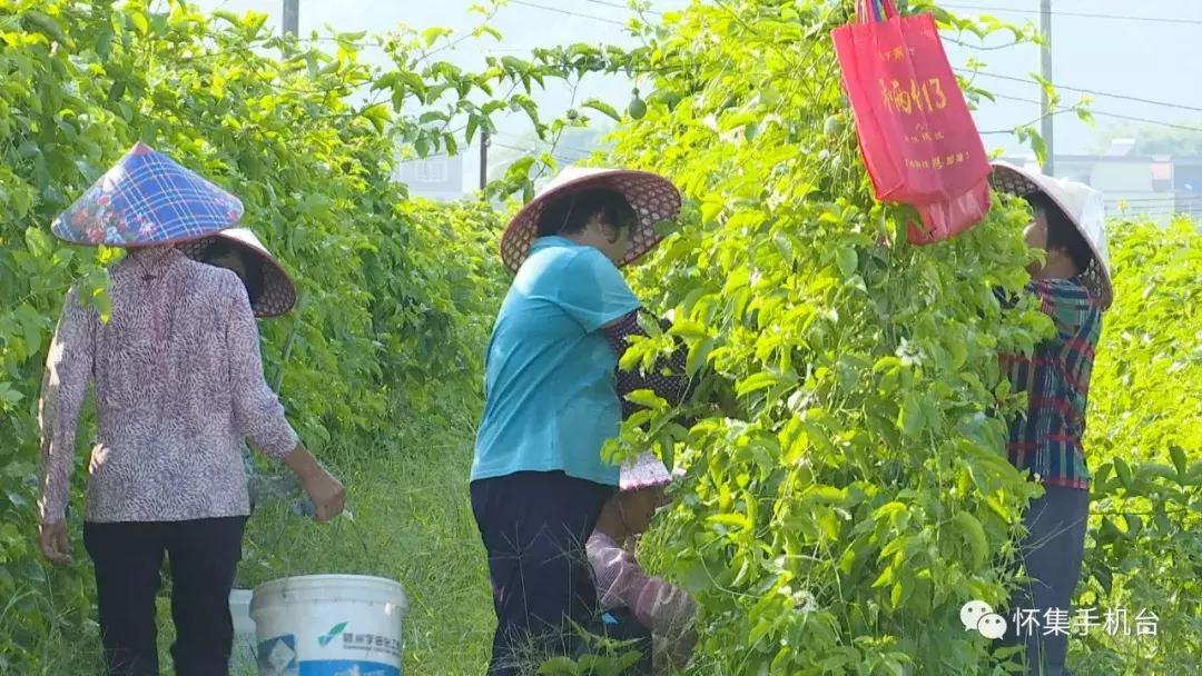 怀集县民政局领导团队，引领变革，共筑未来之光