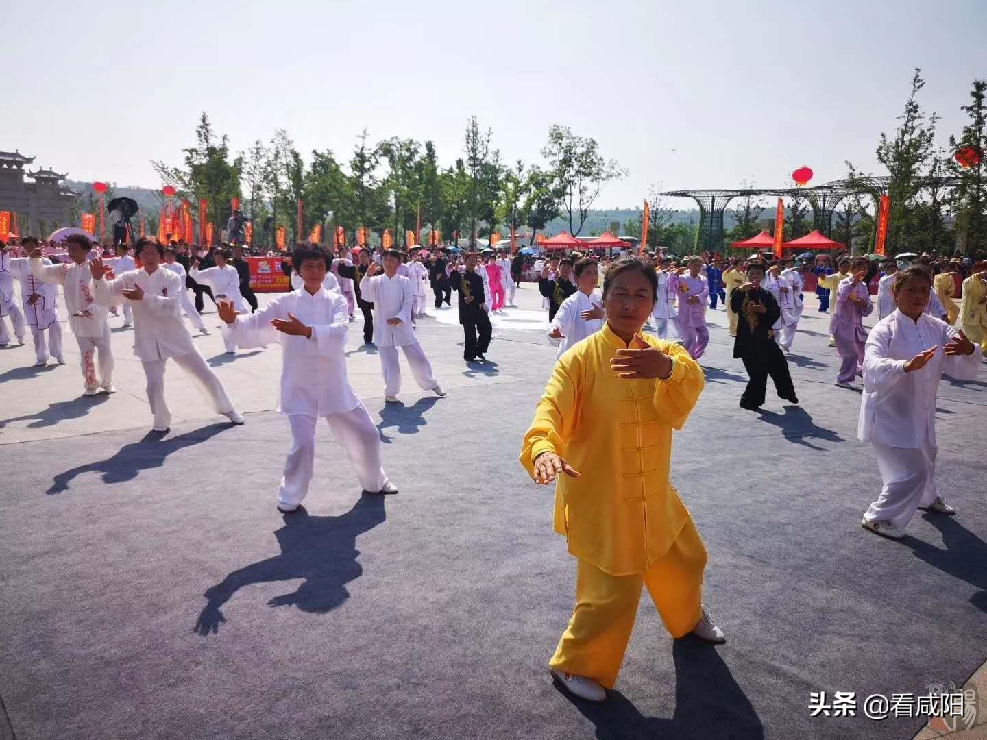 武功县文化广电体育和旅游局新项目，多元融合塑造全新文化旅游体验境界