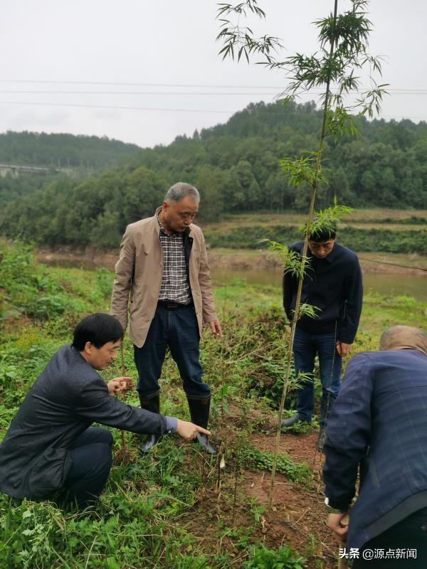 广元市林业局最新动态报道